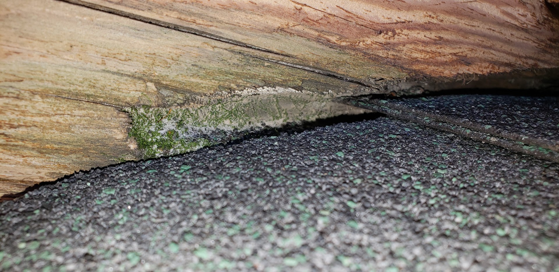 project sally sidewall damage